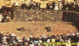 Qabr e Fatima- Open and bare, in ned of Zarih!